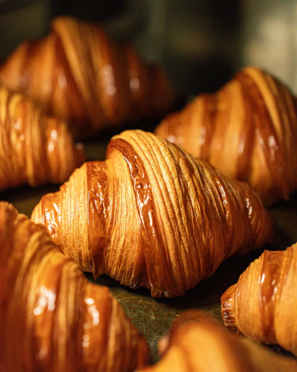 Golden, flaky croissants fresh out of the oven on a baking tray